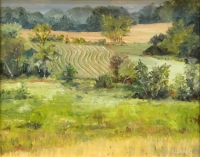 Summer Fields