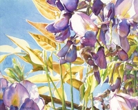 Symphony in Violet 