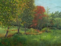 Annandale Pasture 