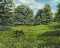 Buttercups!
