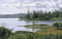 Fiddlehead Island
