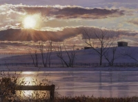 Frozen Sunset