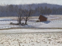 Jennings Chapel Pasture