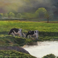 Maple Dell Holsteins - 22''