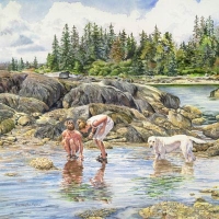 Summer in Vinalhaven