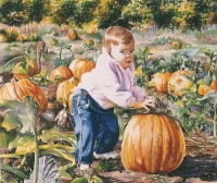 Pumpkin Patch