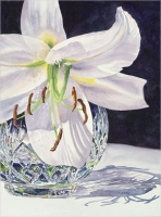 White Lily & Crystal 