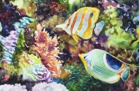 Butterfly Reef - Butterfly Fish