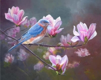Springtime Blues - Eastern Bluebird