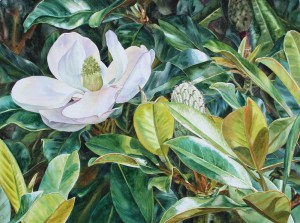 beauty_queen_brendakidera_22x30_watercolor_large