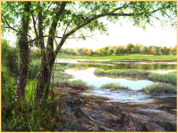 Cape Marsh