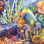 Coral Reef