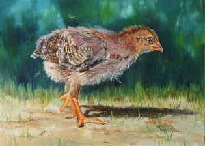 millie_on_the_move-brenda-kidera_5x7_oil_large