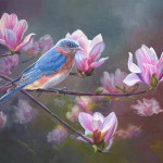 Springtime Blues Springtime Blues - Eastern Bluebird