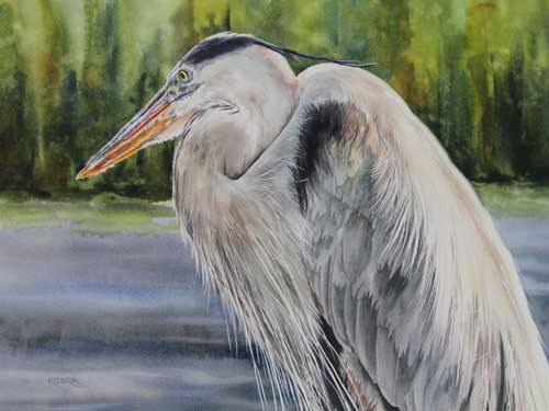 great_blue_heron_brendakidera_watercolor_11x15_large