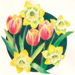 tulips_daffodils_kidera_watercolor_med